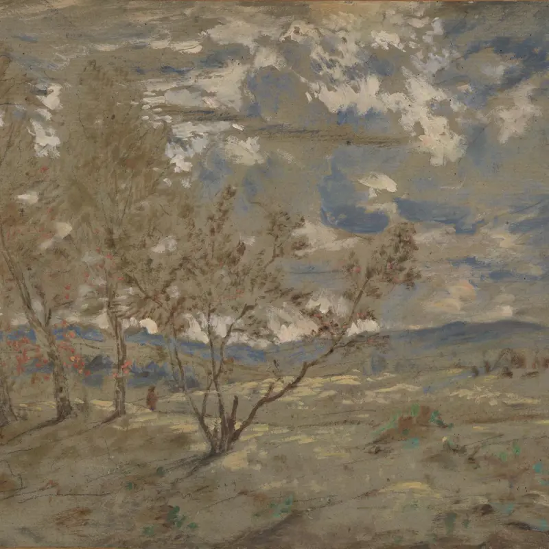 Landscape