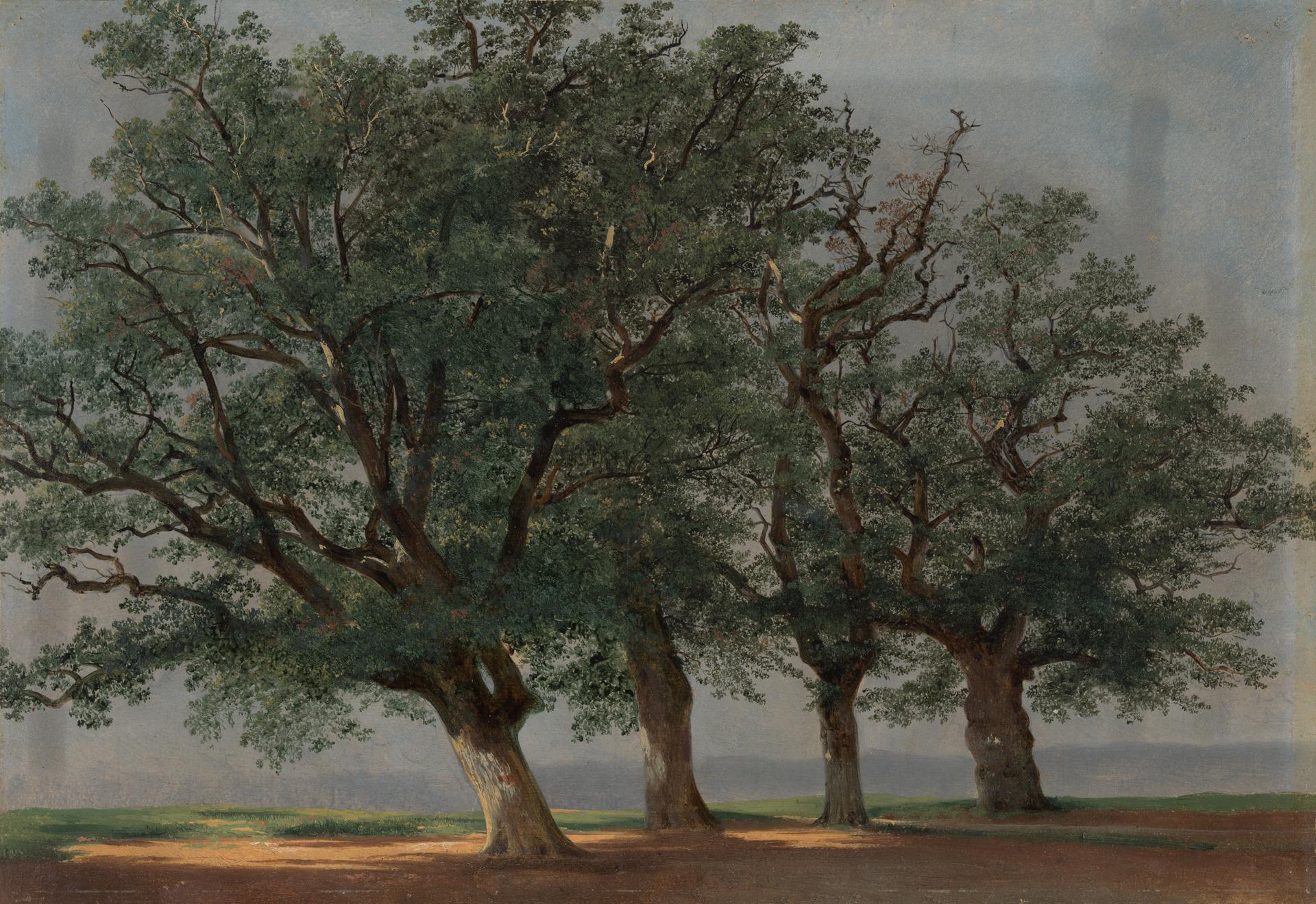 Alexandre Calame, 'Four Large Trees', before 1850
