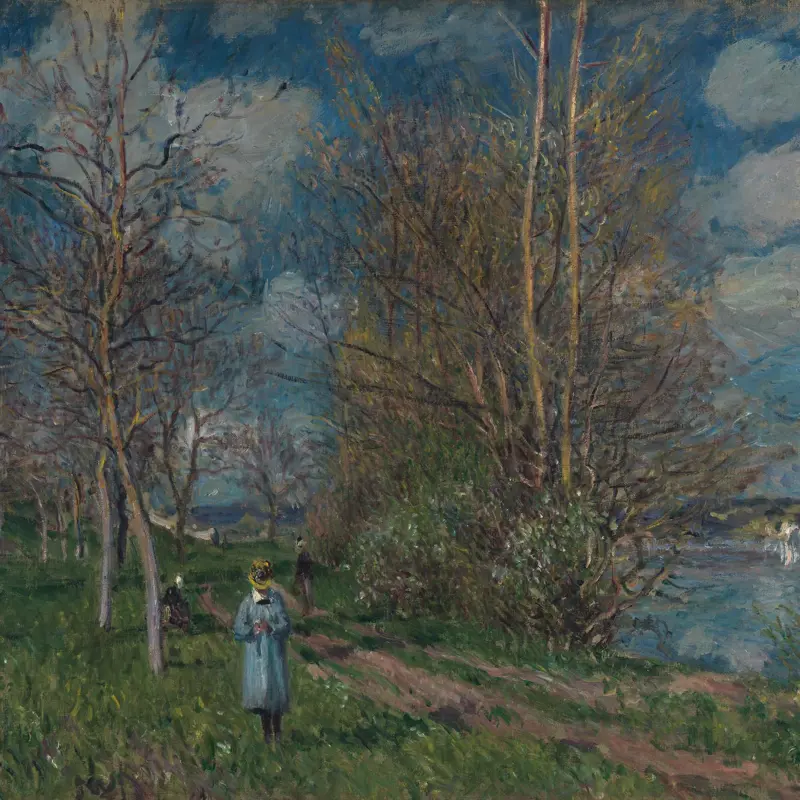 The Small Meadows in Spring