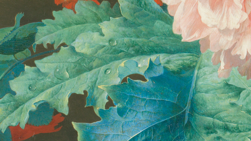 Detail of Jan van Huysum, 'Flowers in a Terracotta Vase', 1736-7. A green leaf with droplets of water.
