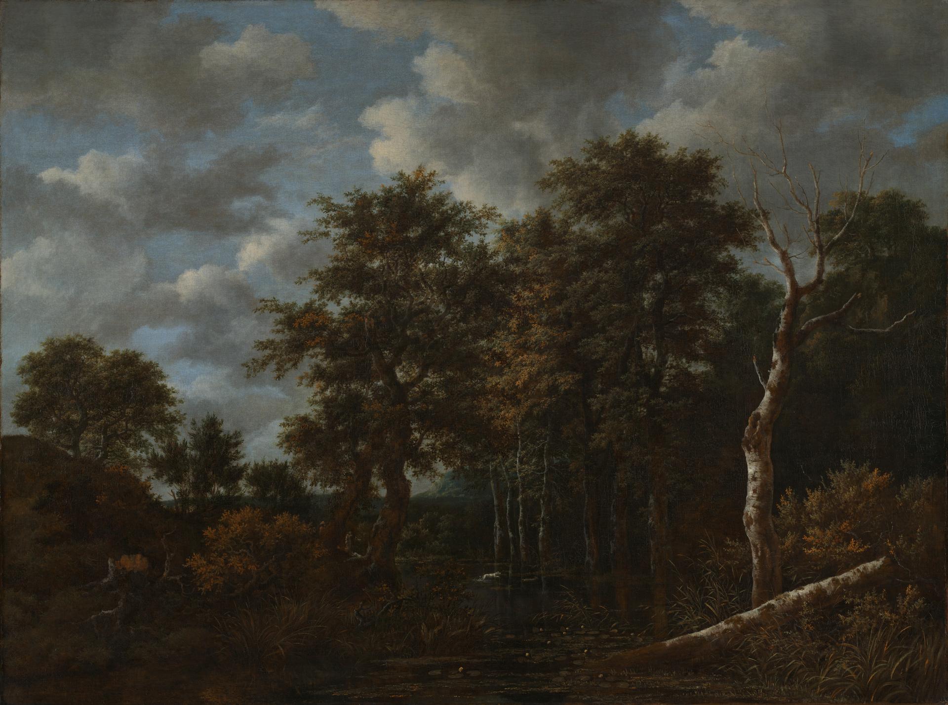 A Pool surrounded by Trees