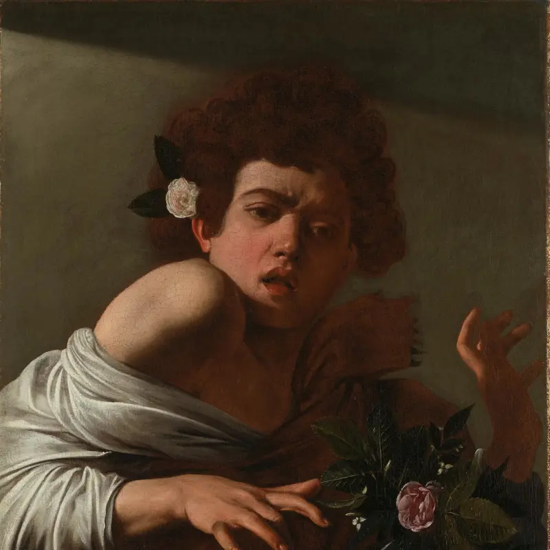 Boy bitten by a Lizard