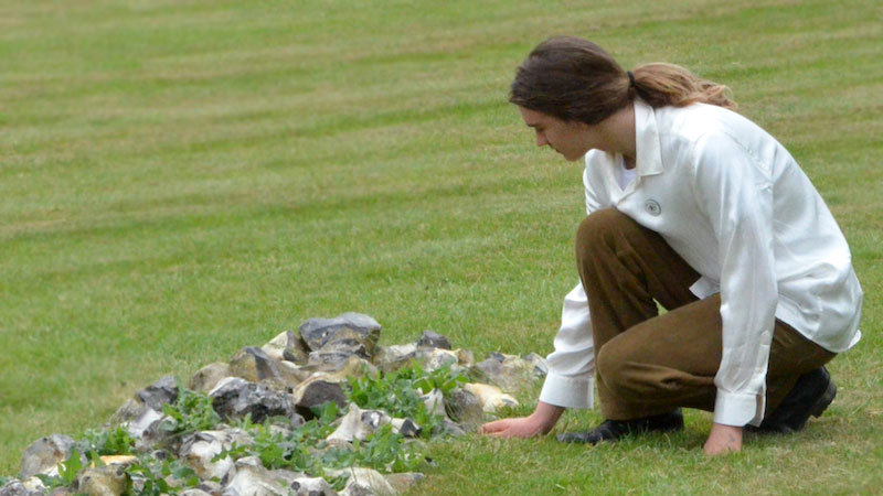 Person looking at stones in grass
