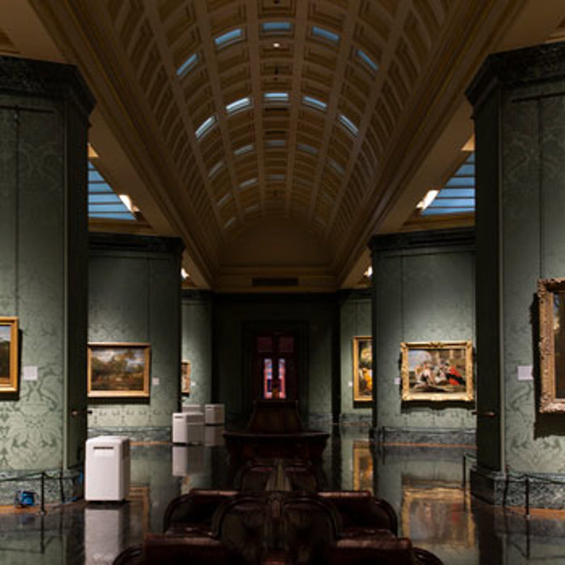 Behind the scenes in Conservation