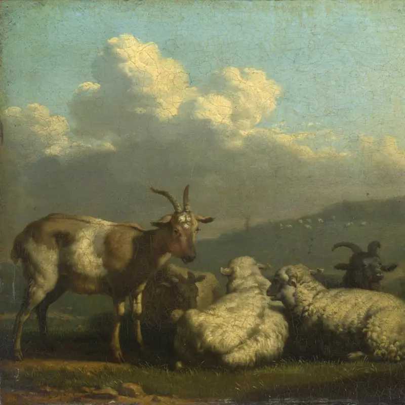 Sheep and Goats