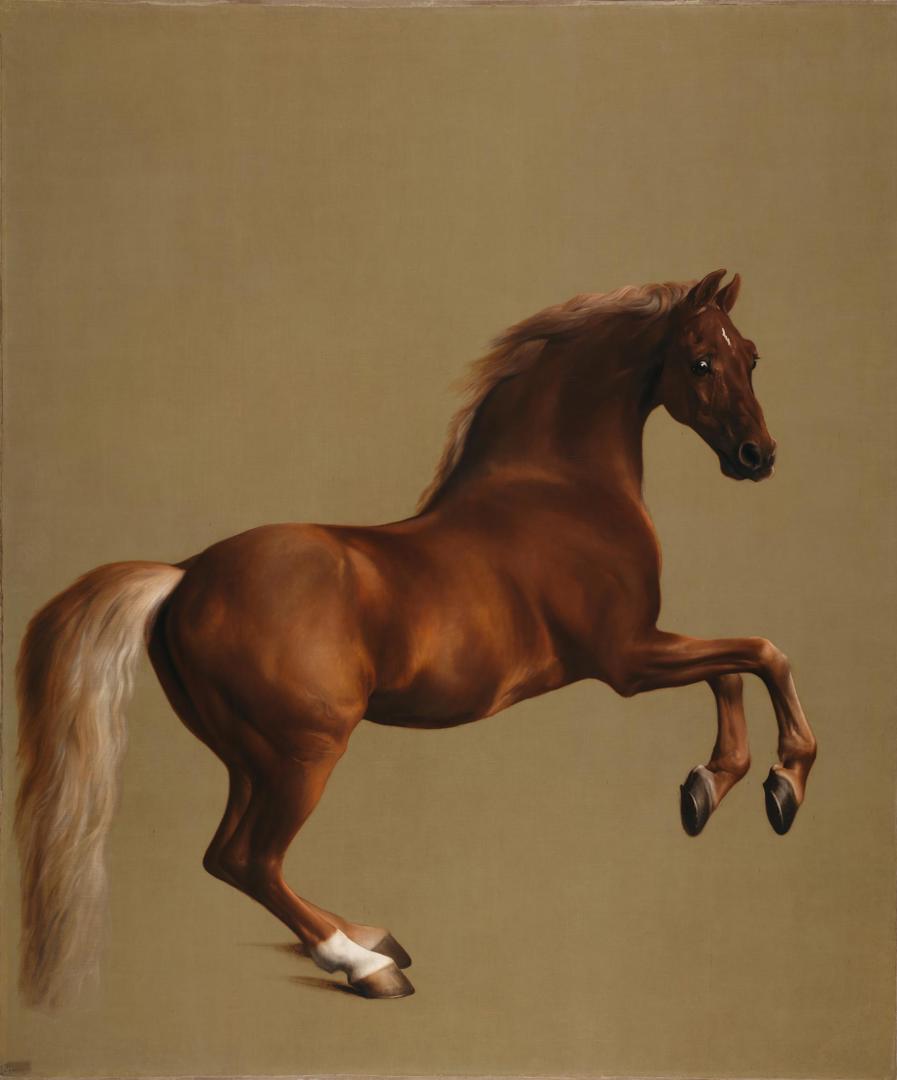Whistlejacket by George Stubbs