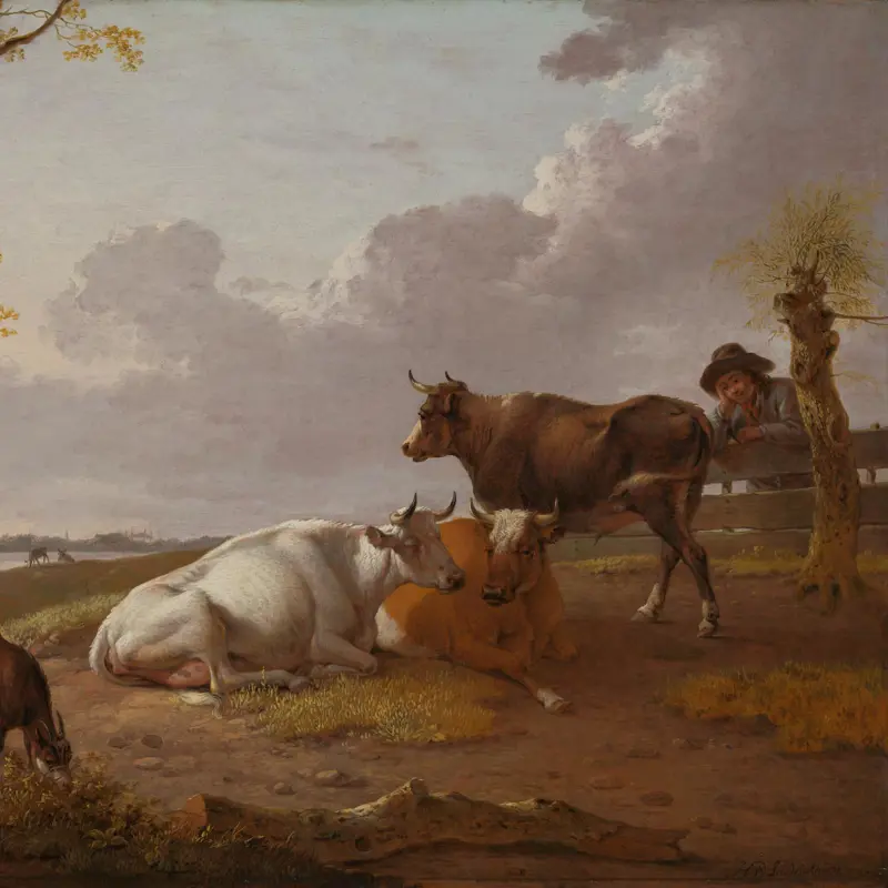 Cattle