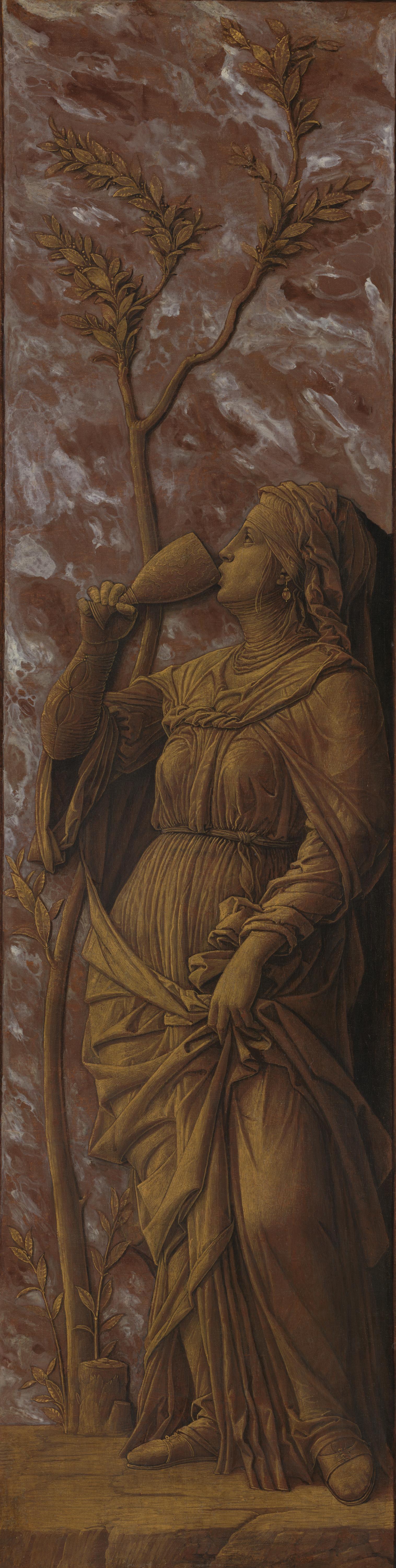 A Woman Drinking