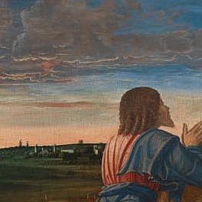 2. The Venetian landscape