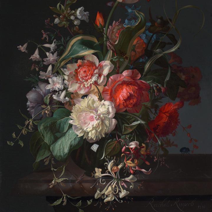 The collection in bloom: A guided tour