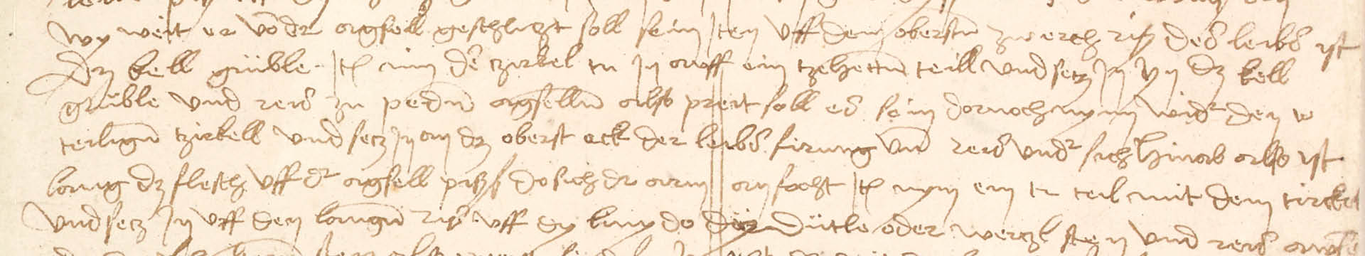 Dürer's travels through his own words and sketches