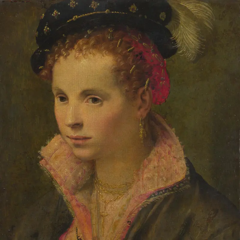 Portrait of a Lady in a Plumed Hat