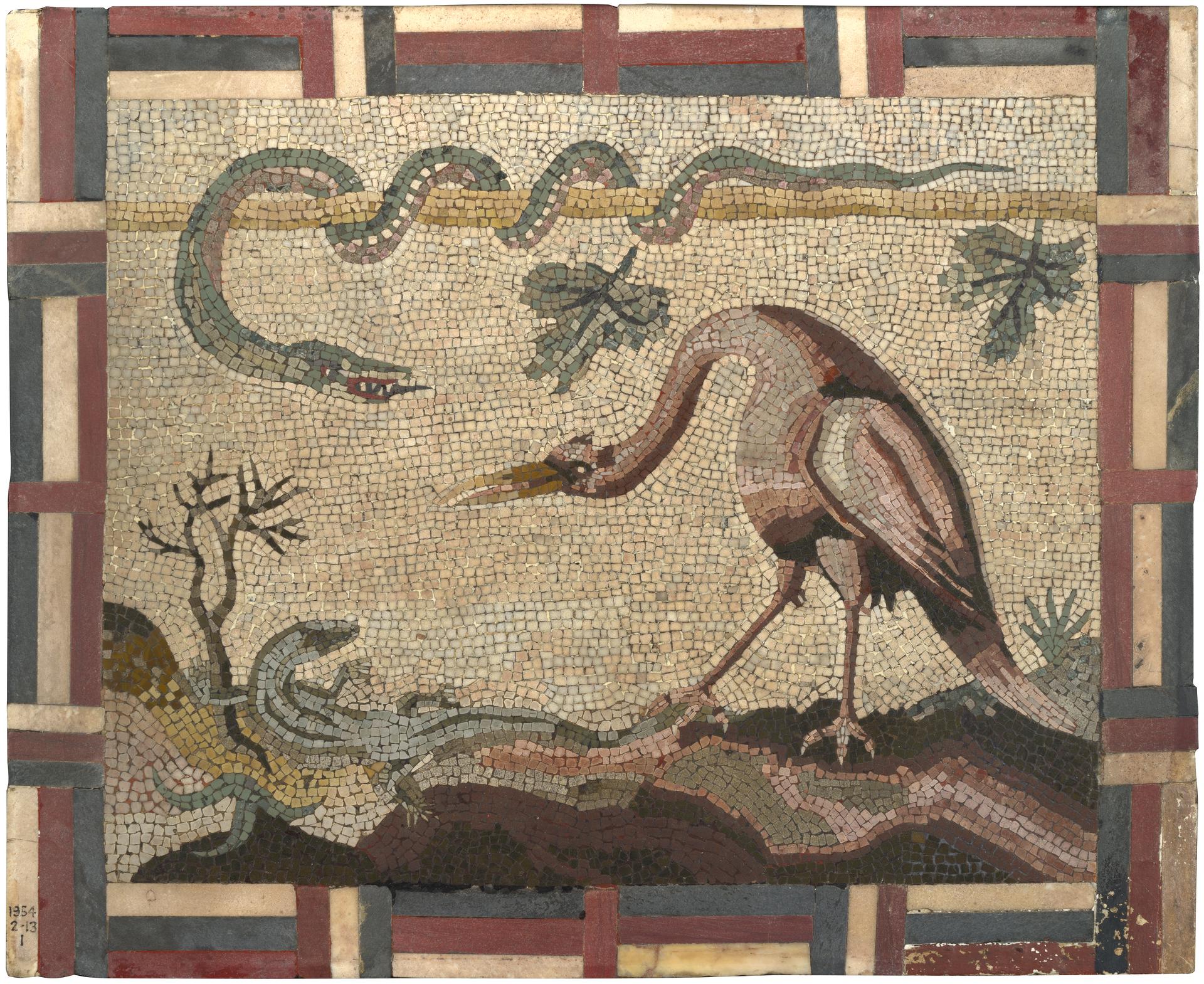 Crane, Python and Lizard