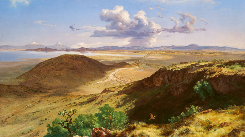 An arid sweeping vista with a green cactus and a small bird in the foreground