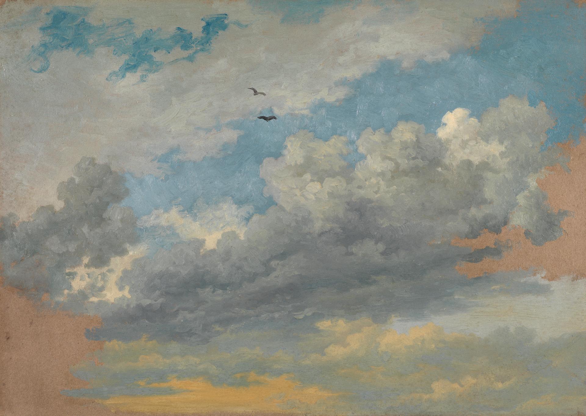 Sky Study with Birds