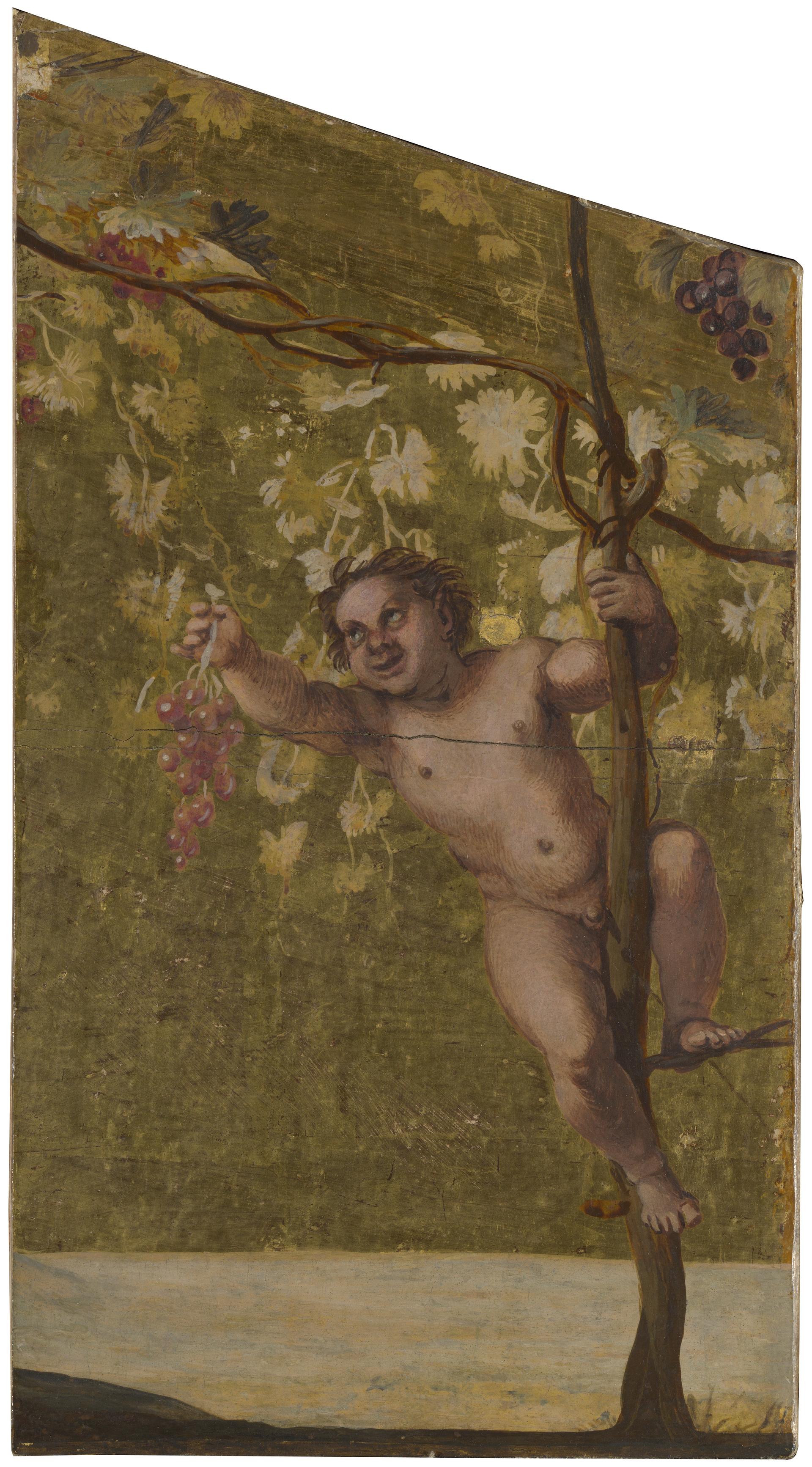 Young Satyr gathering Grapes