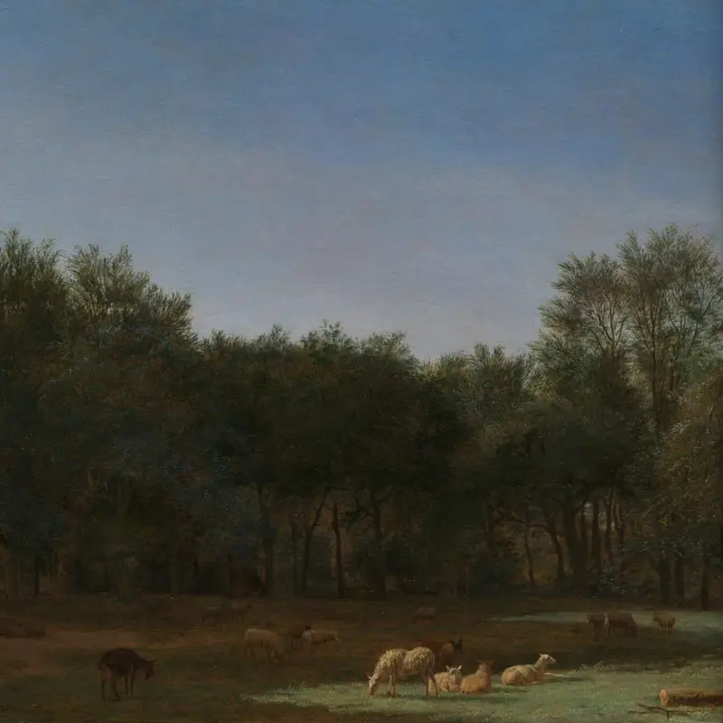 The Edge of a Wood
