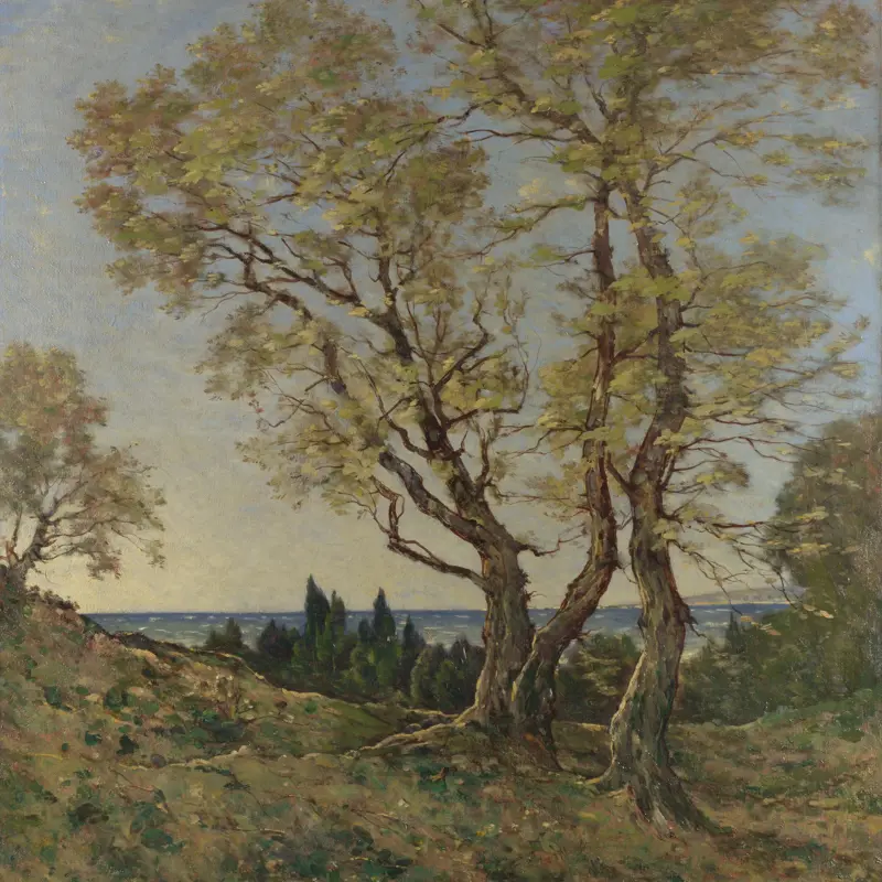 Olive Trees at Menton