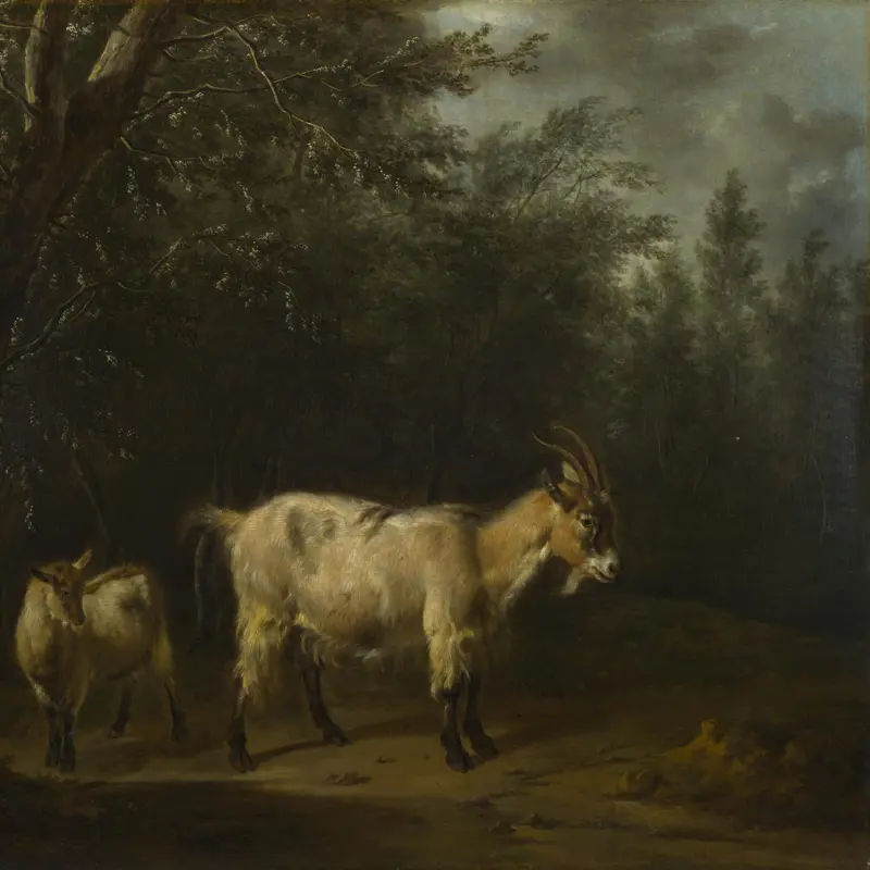 A Goat and a Kid