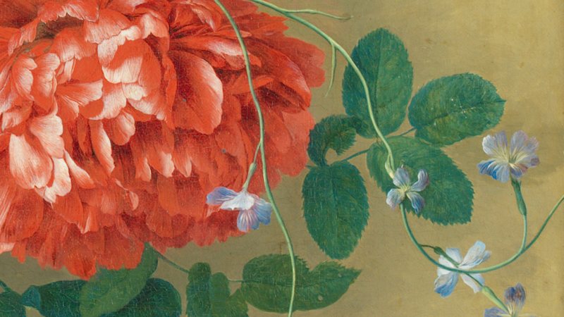 Detail of Jan van Huysum, 'Flowers in a Terracotta Vase', 1736-7. A red flower with trailing green leaves.