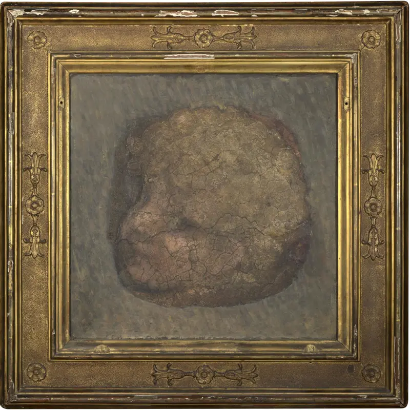Head of an Angel