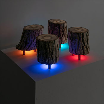 Art in Flux: Radical Ecology