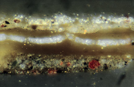 Cross-section of 'The Virgin and Child ('The Madonna with the Iris')'