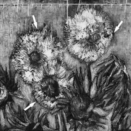 X-ray detail of the Amsterdam Sunflowers showing dark penumbra, where the paint is thin or lacking, around sunflowers kept in 'reserve' in the initial painting process