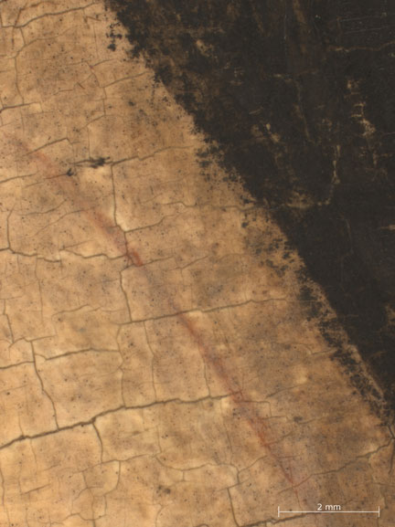 fig. 1 Detail from NG2925 showing red outlines of the leg of the left-hand figure seen through a stereomicroscope