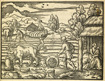 fig. 5 Virgil Solis, ‘The Silver Age’, from Ovid’s Metamorphosis, 1563, woodcut, British Library, London © By permission of the British Library, London