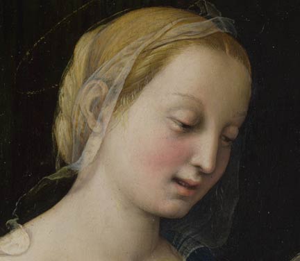 Detail from Raphael, 'The Madonna of the Pinks', about 1506-7