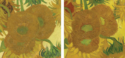 Comparative details from the London and Amsterdam Sunflowers to show brushwork and the thickness of the paint