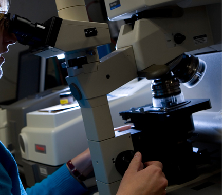 FTIR (Fourier transform infrared microscopy)