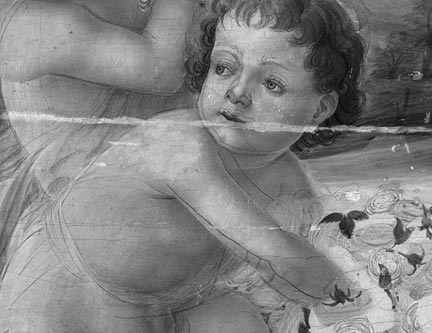 Florentine, ‘An Allegory’, about 1500. IRR showing shifted head of putto on right hand side.