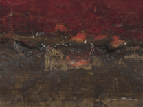 Jan van Eyck: 'Margaret, the Artist's Wife', 1439, photomicrograph of the lower edge