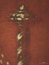 Detail from: Jan Gossaert: 'A Young Princess'