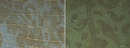 Comparison of 'A Young Woman feeding a Parrot', Private Collection, and 'A Woman in a Red Jacket feeding a Parrot', photomicrographs of the bed curtain