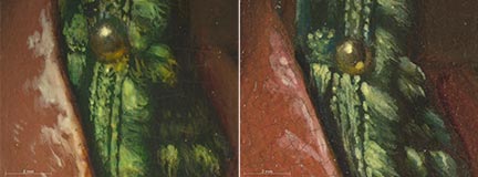 Comparison of 'A Young Woman feeding a Parrot', Private Collection, and 'A Woman in a Red Jacket feeding a Parrot', photomicrographs showing the contrasting textures of the velvet coat and chair