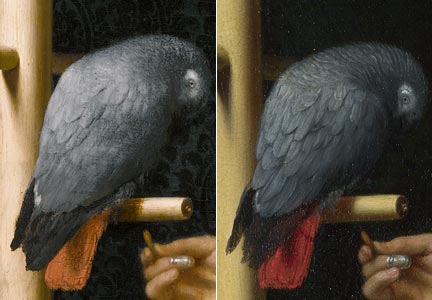 Comparison of 'A Young Woman feeding a Parrot', Private Collection, and 'A Woman in a Red Jacket feeding a Parrot', National Gallery, details of parrot