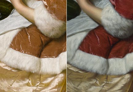 Comparison of 'A Young Woman feeding a Parrot', Private Collection, and 'A Woman in a Red Jacket feeding a Parrot', National Gallery, details of fur and silk