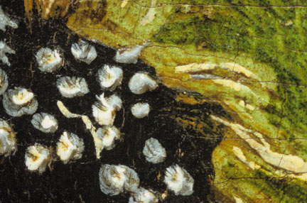 fig. 1 Detail of NG6538 showing the ‘tuft’ and pearls on the hat of Johann the Steadfast