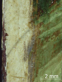 Photomicrograph detail from Raphael, 'The Madonna of the Pinks ('La Madonna dei Garofani')'