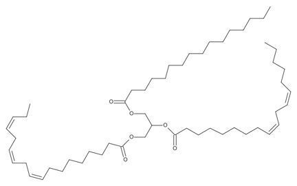 A triglyceride molecule