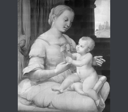 IRR of Raphael, The Madonna of the Pinks