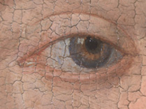 Jan van Eyck, 'Margaret, the Artist's Wife', 1439, photomicrograph of her left eye
