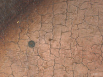 Photomicrograph of the hand spot detail from 'Margaret, Artist's Wife' painting by Jan van Eyck, 1439, before cleaning