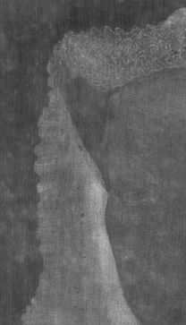 Jan van Eyck: 'Margaret, the Artist's Wife', 1439, detail of X-radiograph