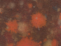Jan van Eyck: 'Margaret, the Artist's Wife', 1439, photomicrograph of the marbled reverse