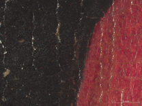 Jan van Eyck: 'Margaret, the Artist's Wife', 1439, photomicrograph taken before restoration