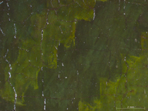 Jan van Eyck: 'Margaret, the Artist's Wife', 1439, photomicrograph of the sash